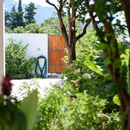 Floreat * 오레비츠