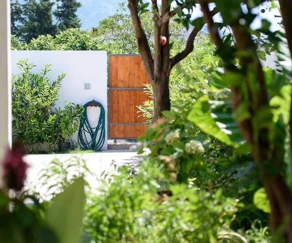 Floreat * أوروبيتش